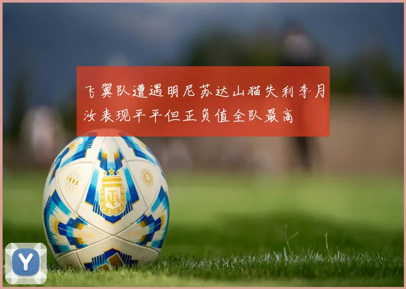 飞翼队遭遇明尼苏达山猫失利李月汝表现平平但正负值全队最高