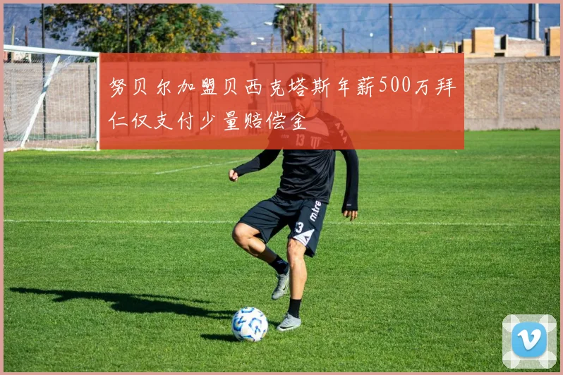 努贝尔加盟贝西克塔斯年薪500万拜仁仅支付少量赔偿金
