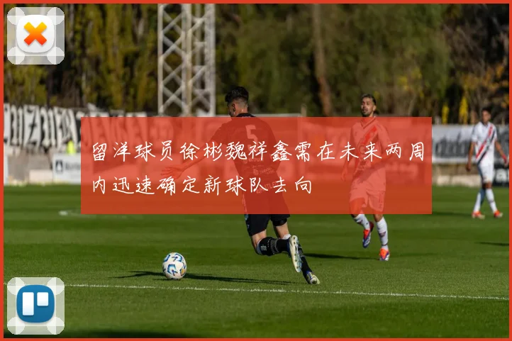 留洋球员徐彬魏祥鑫需在未来两周内迅速确定新球队去向