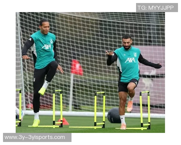 费迪南德指出利物浦整体表现不佳不应仅责怪萨拉赫和范戴克 费迪南德指出利物浦整体表现不佳不应仅责怪萨拉赫和范戴克